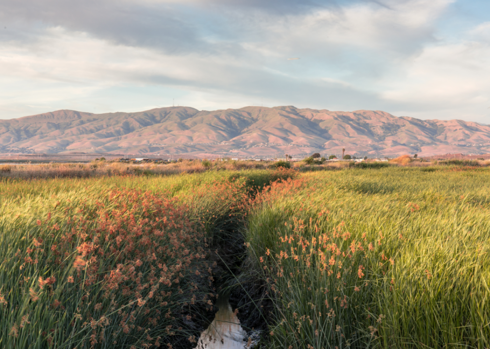 #8. San Jose-Sunnyvale-Santa Clara, California